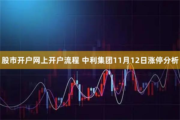 股市开户网上开户流程 中利集团11月12日涨停分析