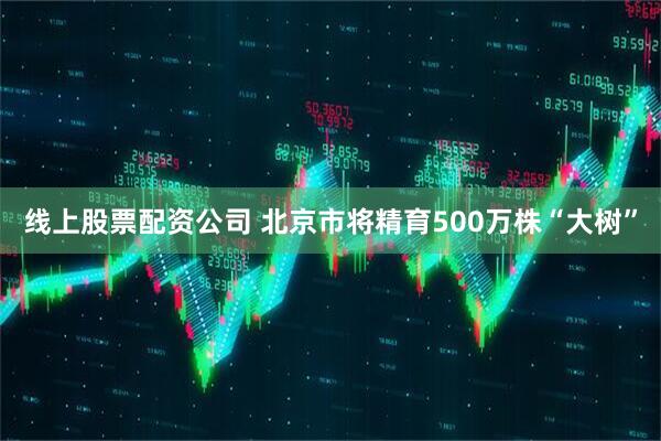 线上股票配资公司 北京市将精育500万株“大树”